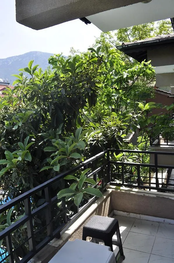 New St. Nicholas Garden Hotel Ολουντενίζ 0*,